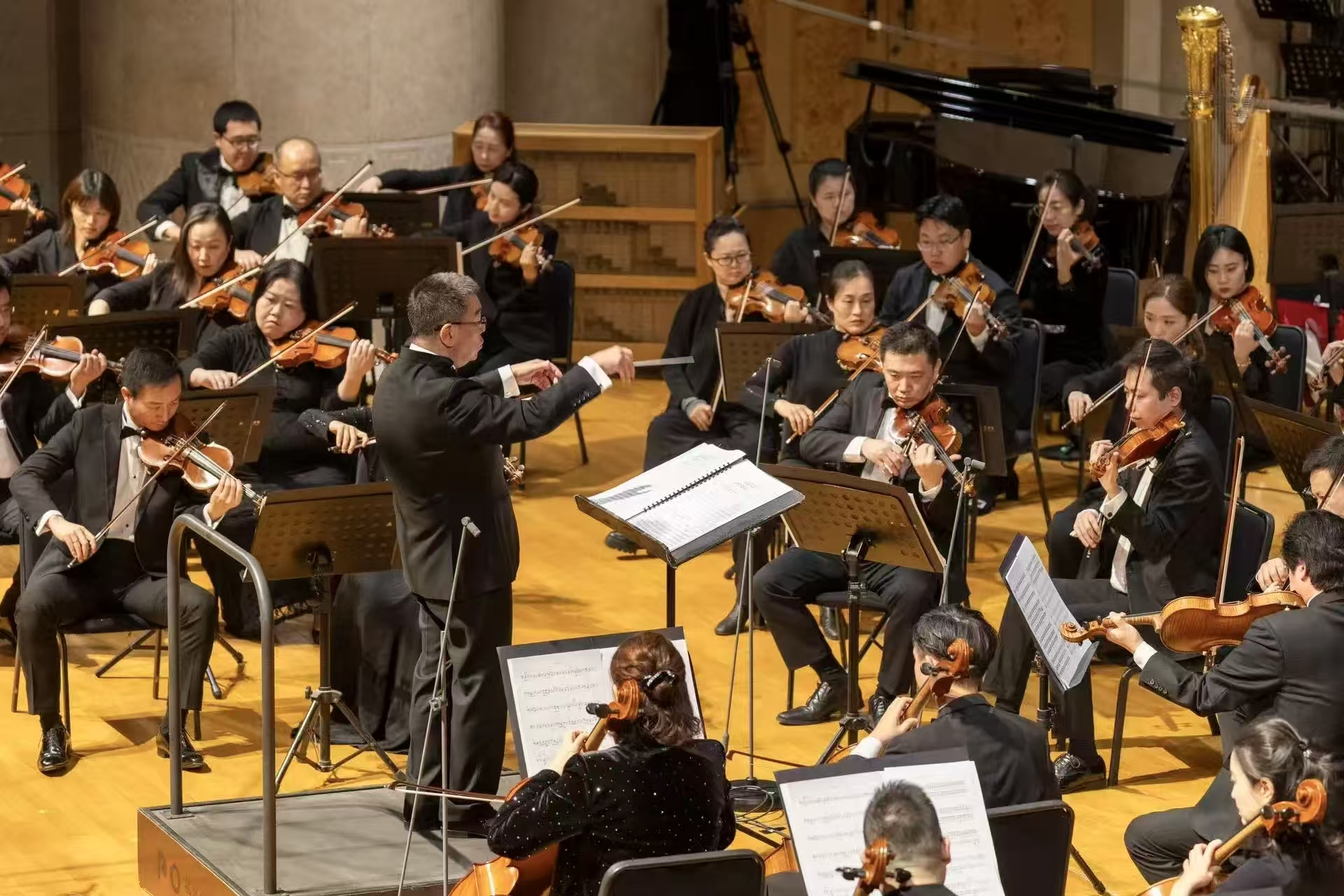 微信图片_20251114160638_600_88.jpg 微信图片_20251114160638_600_88.jpg