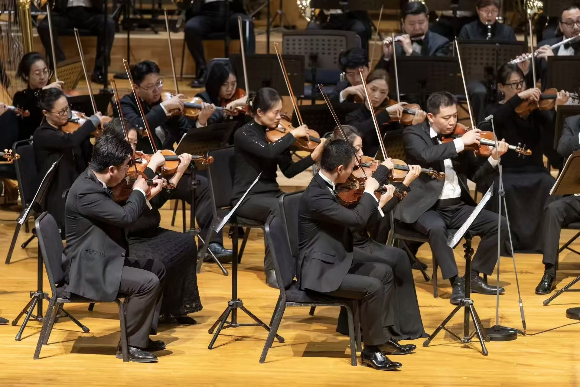 微信图片_20251114160643_601_88.jpg 微信图片_20251114160643_601_88.jpg