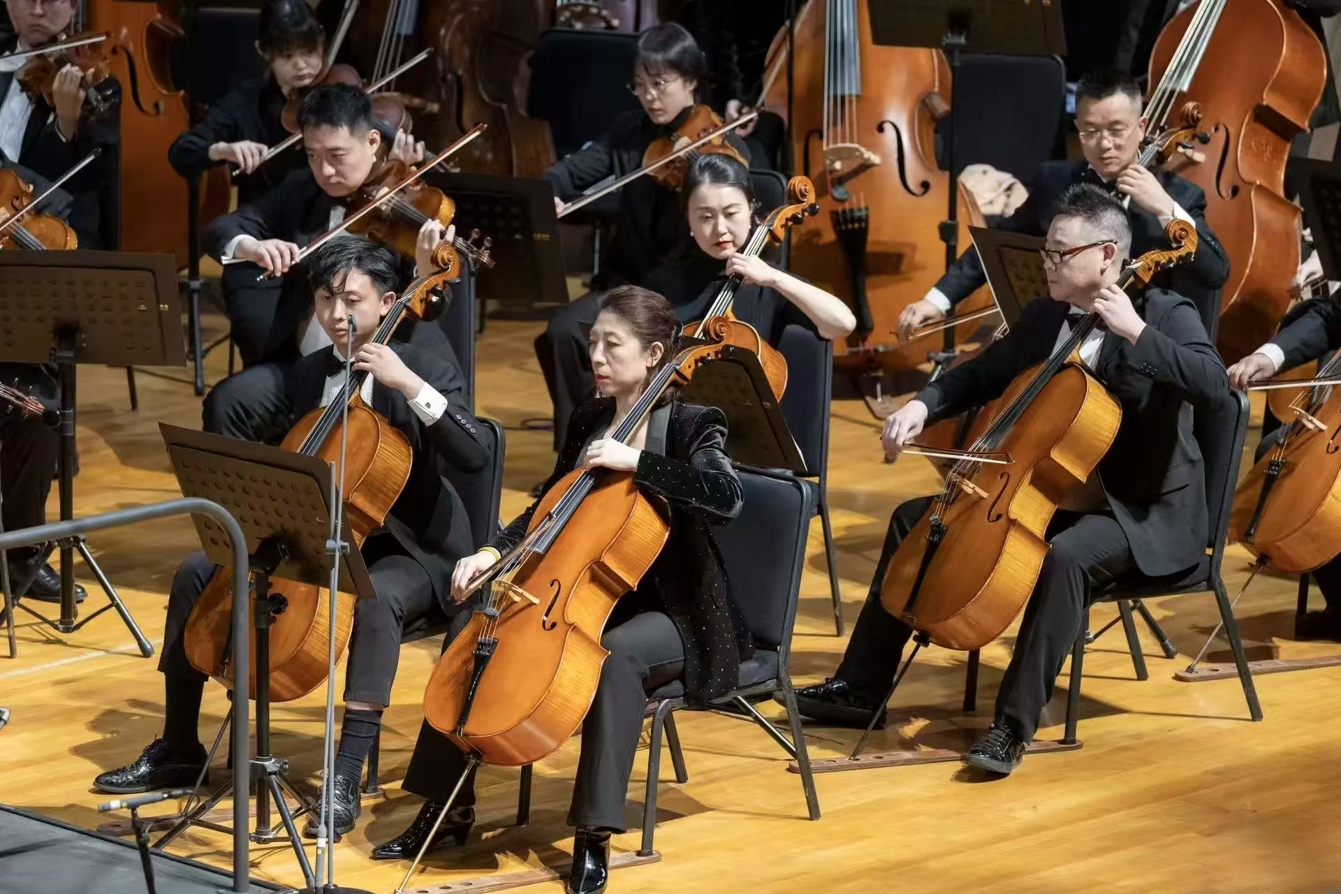 微信图片_20251114160647_602_88.jpg 微信图片_20251114160647_602_88.jpg